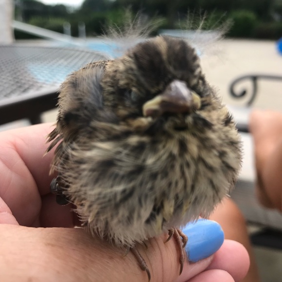 MEETthePOSHER my style? Living out MY VIBE & MOOD - Picture 4 of 8